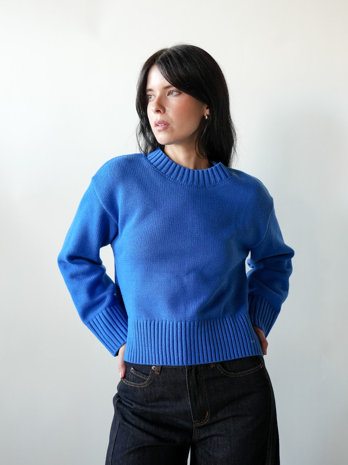 Asher Knit Crop Sweater in Blue