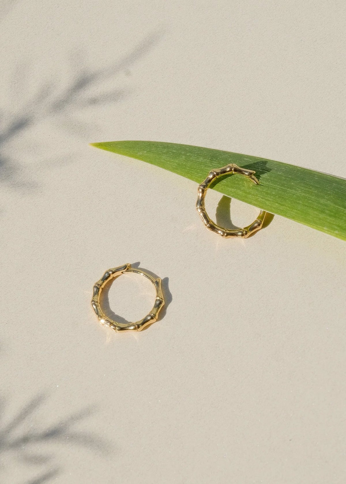 Thin Gold Bamboo Hoop