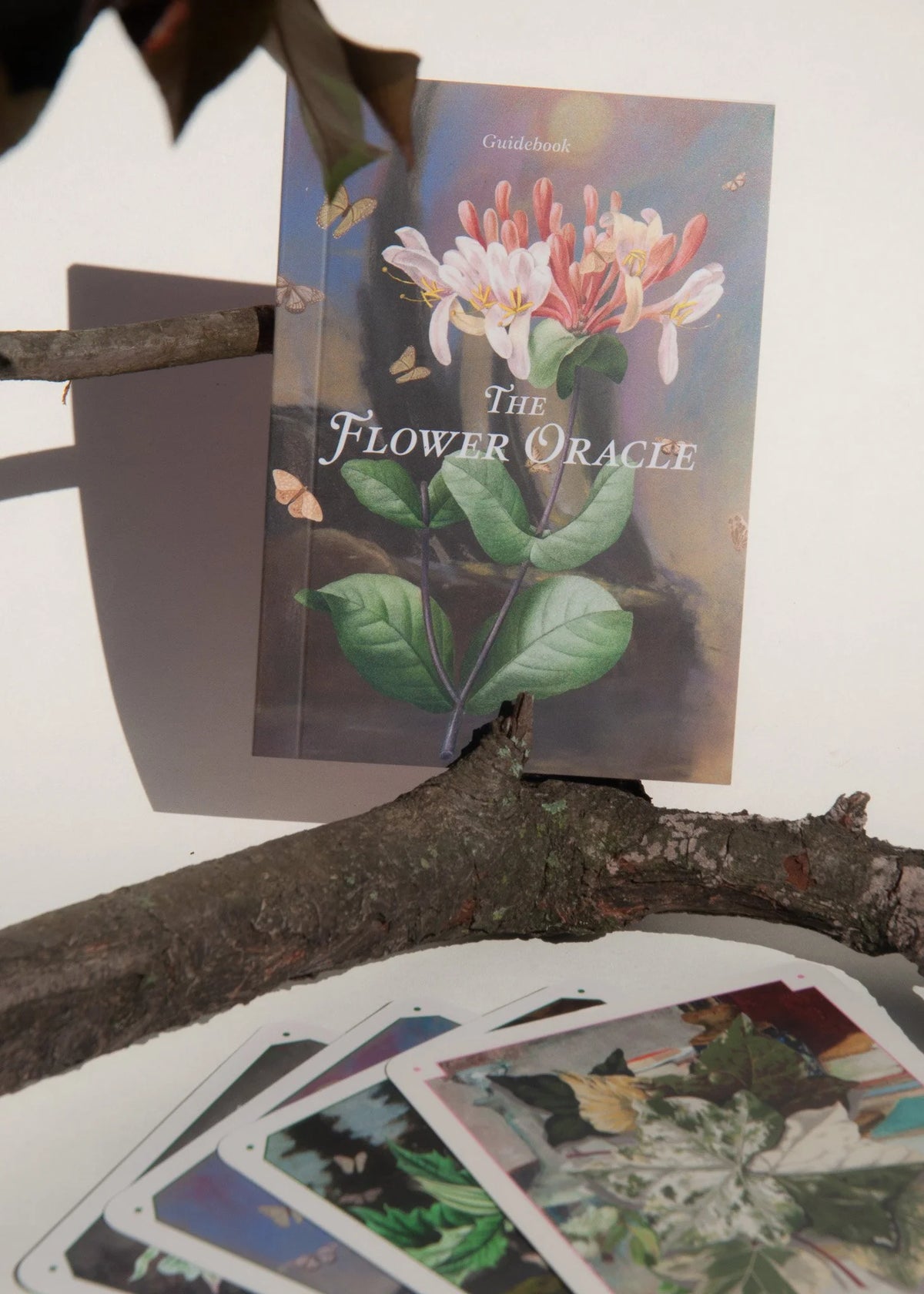 The Flower Oracle